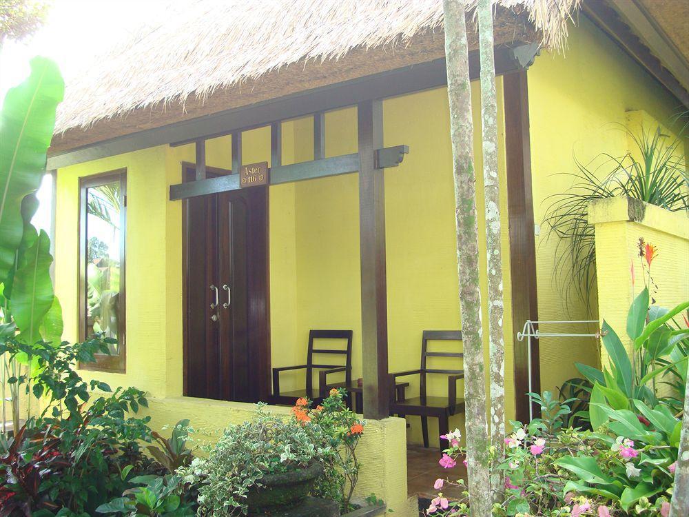 Anini Raka Resort & Spa Ubud Eksteriør bilde
