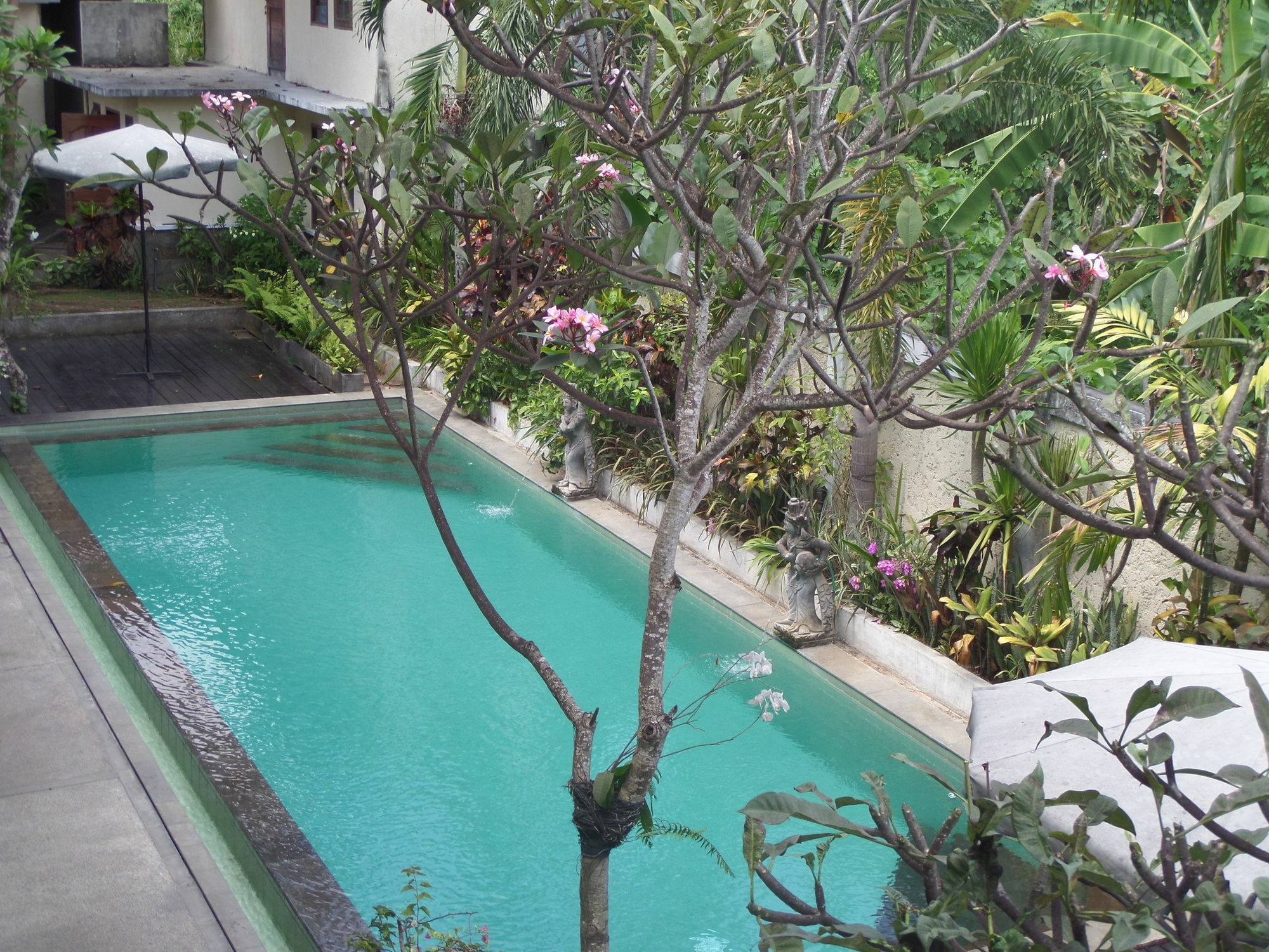 Anini Raka Resort & Spa Ubud Eksteriør bilde